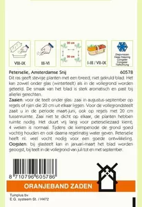 Peterselie Amsterdamse Snij Oranjeband - afbeelding 2