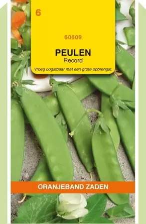 Peulen Record, 100g Oranjeband - afbeelding 1