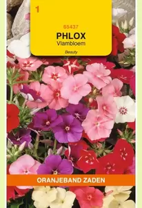 Phlox, Vlambloem Beauty Oranjeband - afbeelding 1