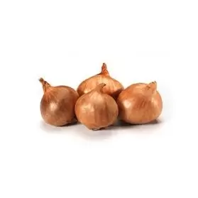 Plantuitjes Golden Gourmet 500gr
