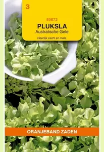 Pluksla Australische Gele Oranjeband - afbeelding 1