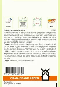 Pluksla Australische Gele Oranjeband - afbeelding 2