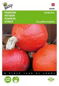 Pompoen Atlantic Giant Buzzy Seeds - afbeelding 1