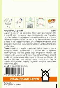 Pompoenen Aspen Oranjeband - afbeelding 2