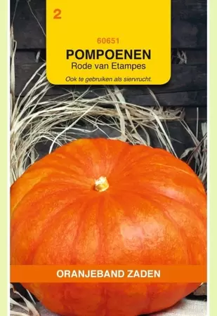 Pompoenen Rode Van Etampes Oranjeband - afbeelding 1