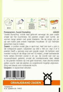 Pompoenen Sweet Dumpling Oranjeband - afbeelding 2