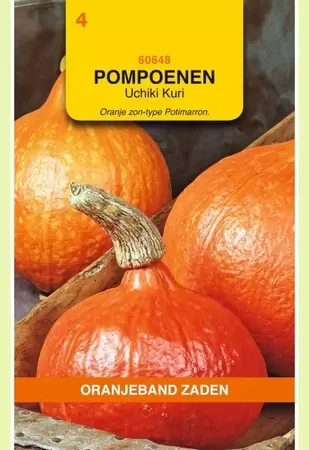 Pompoenen Uchiki Kuri Oranjeband - afbeelding 1