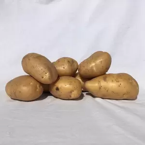 Pootaardappelen Gloria 1kg