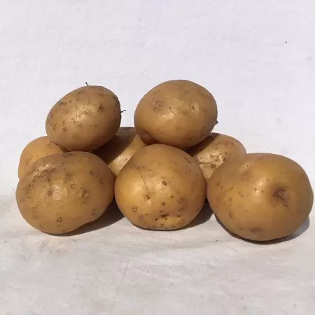 Pootaardappelen Lekkerlander 1kg