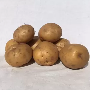 Pootaardappelen Lekkerlander 1kg