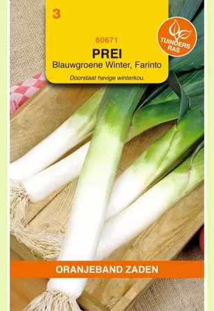 Prei Blauwgroene Winter Farinto Oranjeband - afbeelding 1