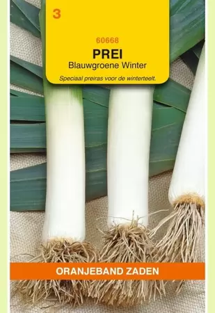 Prei Blauwgroene Winter Oranjeband - afbeelding 1