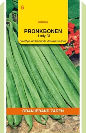 Pronkbonen Lady Di, 100g Oranjeband - afbeelding 1