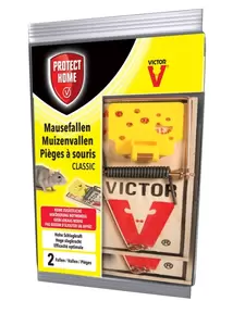 Protect Home Val muizen hout 2st Bayer SBM