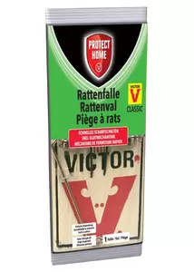 Protect Home Val ratten hout Bayer SBM