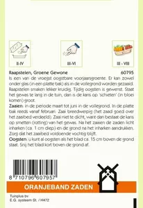 Raapstelen Groene Gewone Oranjeband - afbeelding 2