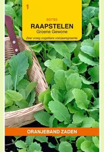 Raapstelen Groene Gewone Oranjeband - afbeelding 1