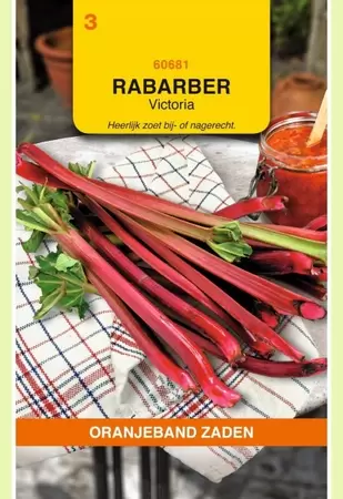 Rabarber Victoria Oranjeband - afbeelding 1