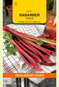Rabarber Victoria Oranjeband - afbeelding 1