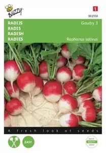 Radijs Cherry Belle Buzzy Seeds - afbeelding 1