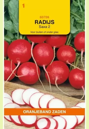 Radijs Saxa 2 Oranjeband - afbeelding 1