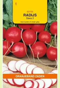 Radijs Saxa 2 Oranjeband - afbeelding 1