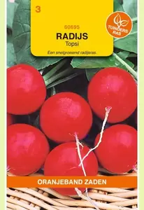 Radijs Topsi Oranjeband - afbeelding 1