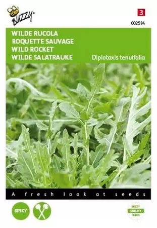 Rucola, Italiaanse snijgroente Buzzy Seeds - afbeelding 1