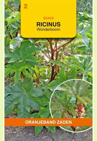 Ricinus, Wonderboom gemengd Oranjeband - afbeelding 1
