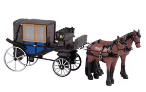 Rijtuig m paard