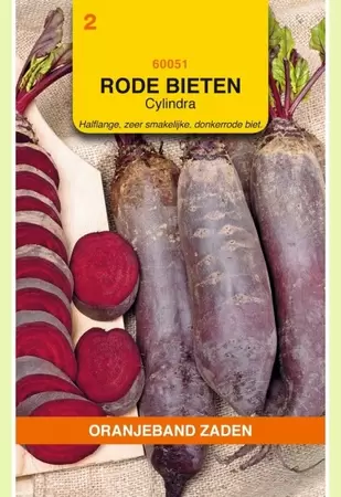 Rode Bieten Cylindra Oranjeband - afbeelding 1