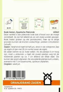 Rode Bieten Egyptische Platronde Oranjeband - afbeelding 2