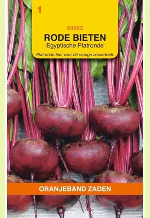 Rode Bieten Egyptische Platronde Oranjeband - afbeelding 1