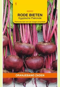 Rode Bieten Egyptische Platronde Oranjeband - afbeelding 1