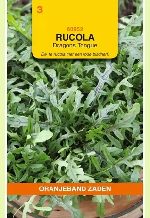 Rucola Dragons Tonque Oranjeband - afbeelding 1