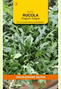 Rucola Dragons Tonque Oranjeband - afbeelding 1