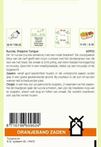 Rucola Dragons Tonque Oranjeband - afbeelding 2