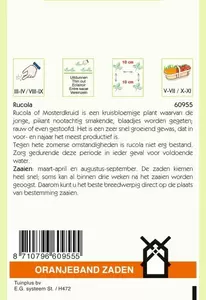 Rucola Gewone Oranjeband - afbeelding 2