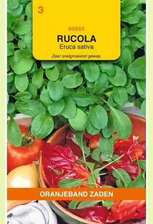 Rucola Gewone Oranjeband - afbeelding 1