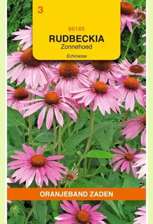 Rudbeckia, Zonnehoed Echinacea Oranjeband - afbeelding 1