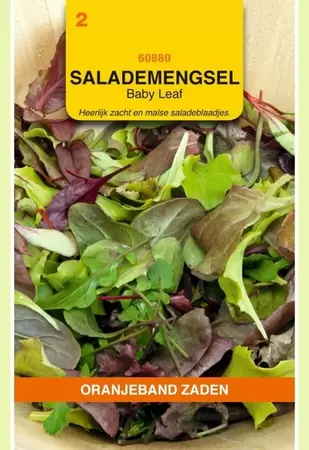 Salade Mengsel Baby-Leaf Oranjeband - afbeelding 1
