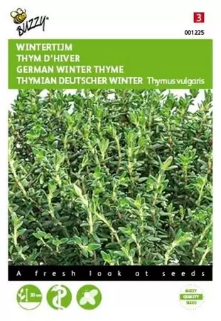 Stevia, Suikerplantje of Honingkruid Buzzy Seeds - afbeelding 1