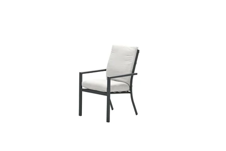 Sergio dining fauteuil