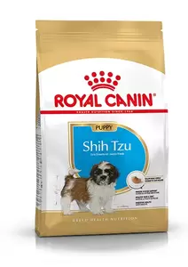 Shih Tzu Puppy 1,5 kg