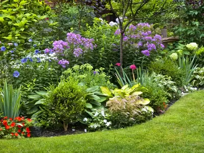 Tuin