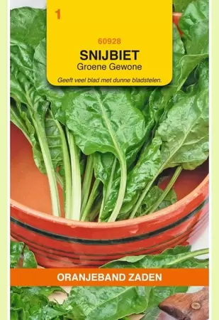 Snijbiet Groene Gewone Oranjeband - afbeelding 1
