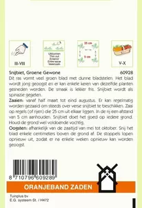 Snijbiet Groene Gewone Oranjeband - afbeelding 2