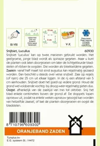 Snijbiet Lucullus Oranjeband - afbeelding 2