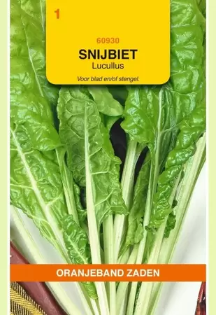 Snijbiet Lucullus Oranjeband - afbeelding 1
