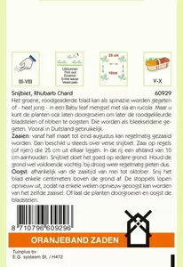 Snijbiet Rhubarb Chard Oranjeband - afbeelding 2